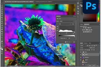 Learn To Use Adobe Photoshop (Grades 6-12)